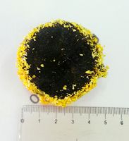 Сердцевина для цветов с напылением d=45(черный) | ОВС Швейная фурнитура